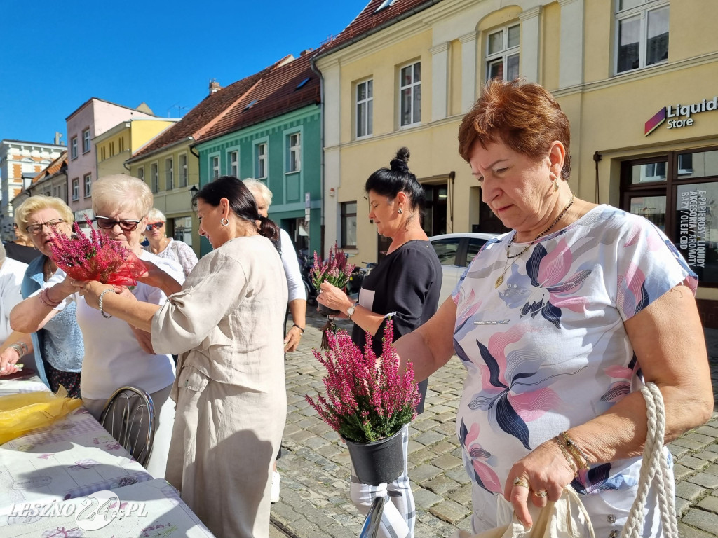 Wrzosowa ul. Leszczyńskich