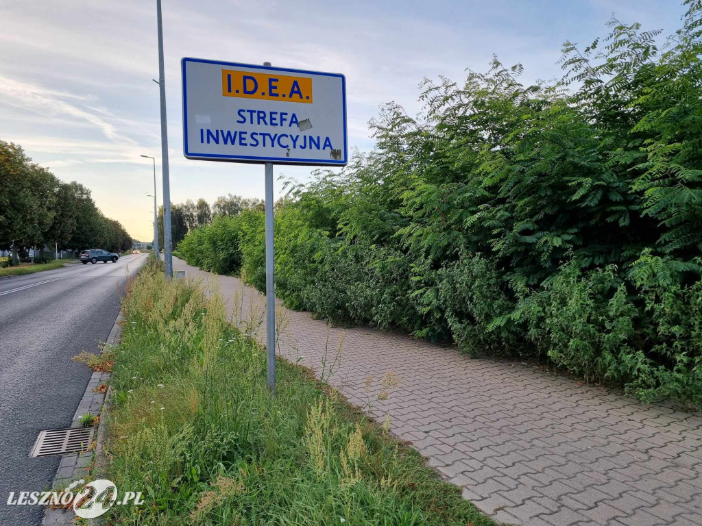 Chodnik zarasta krzewami