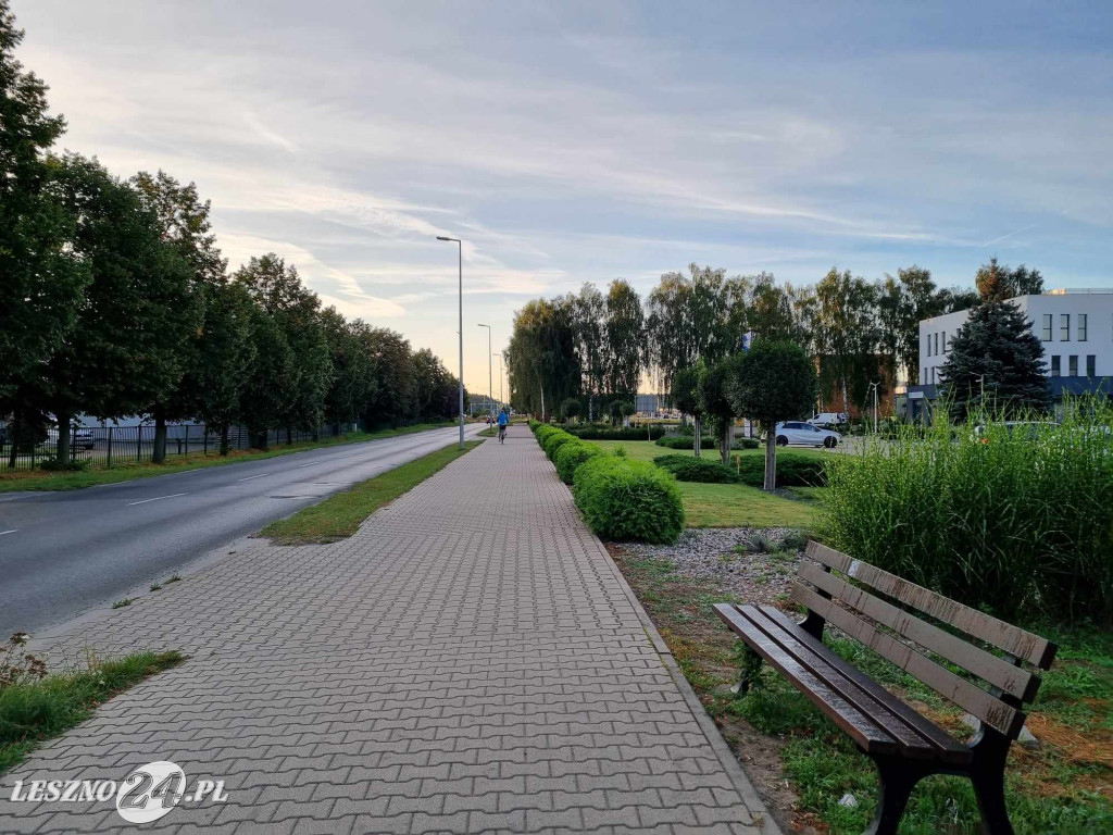 Chodnik zarasta krzewami