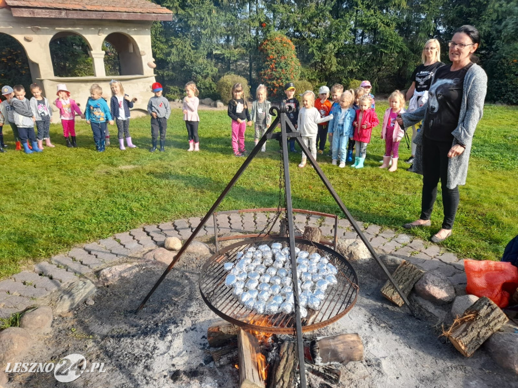 Przedszkolacy na wykopkach