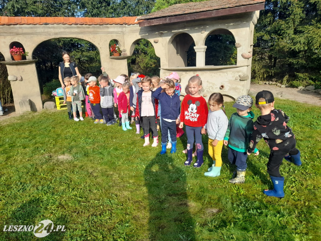 Przedszkolacy na wykopkach