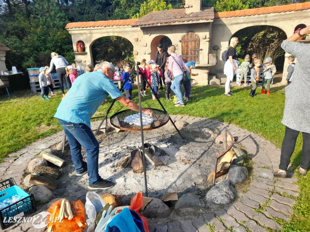 Przedszkolacy na wykopkach
