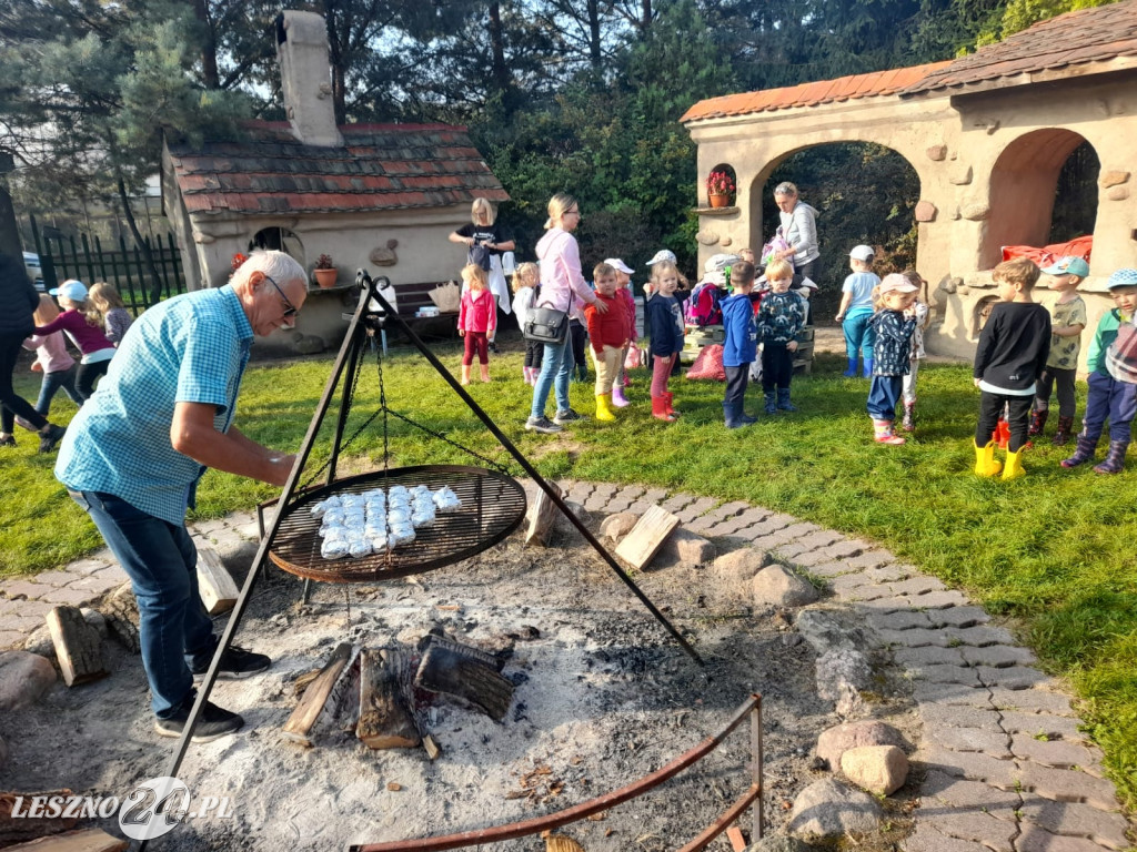 Przedszkolacy na wykopkach