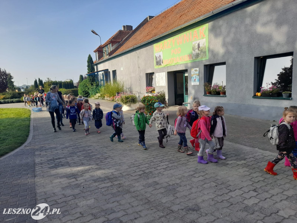 Przedszkolacy na wykopkach