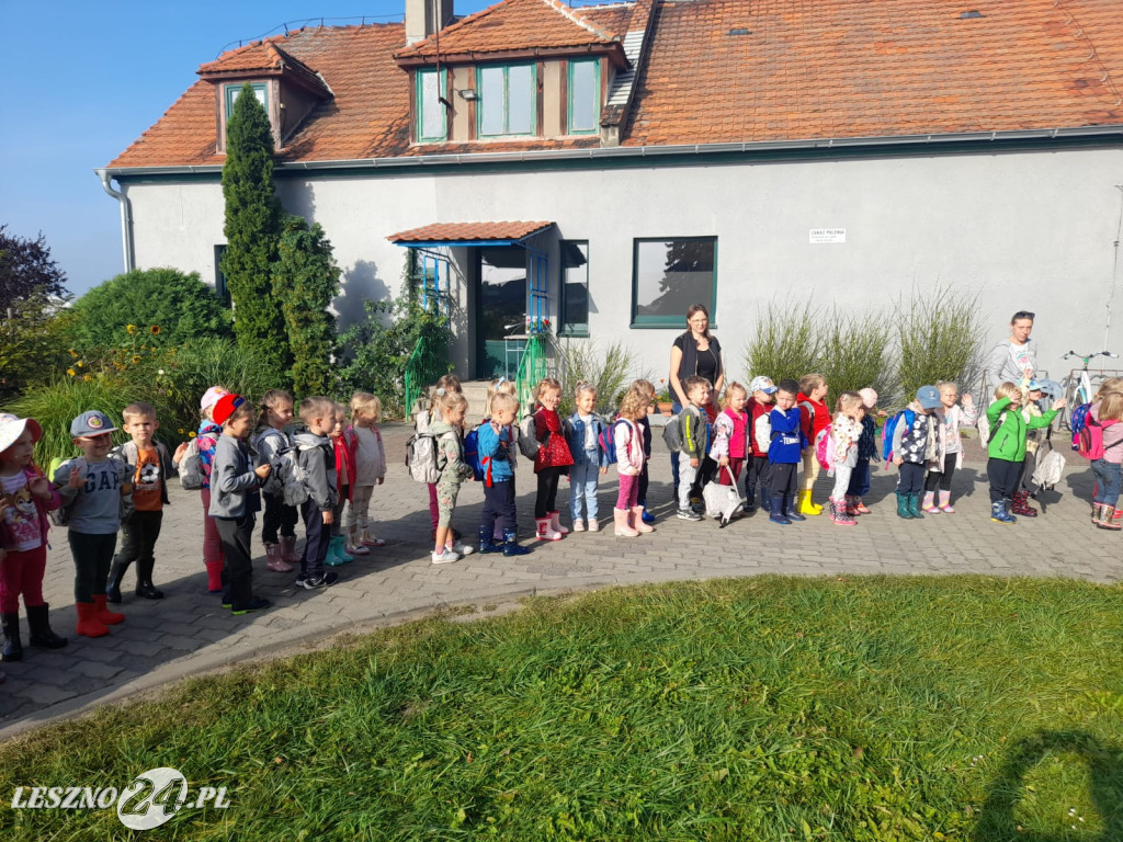 Przedszkolacy na wykopkach