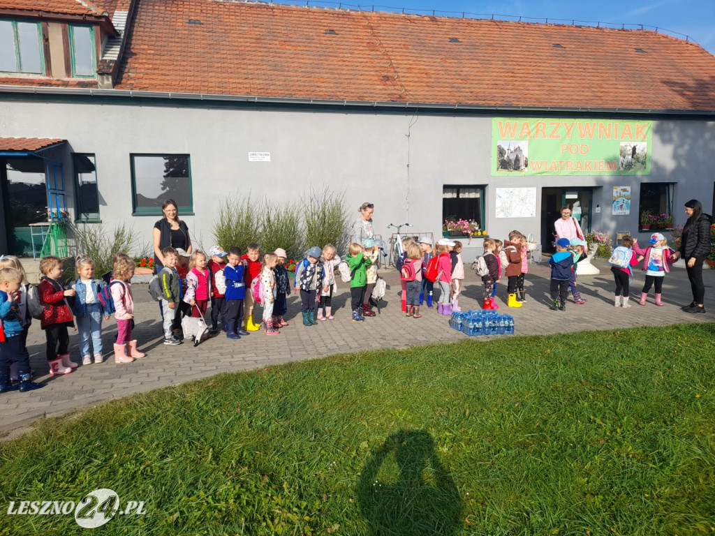 Przedszkolacy na wykopkach