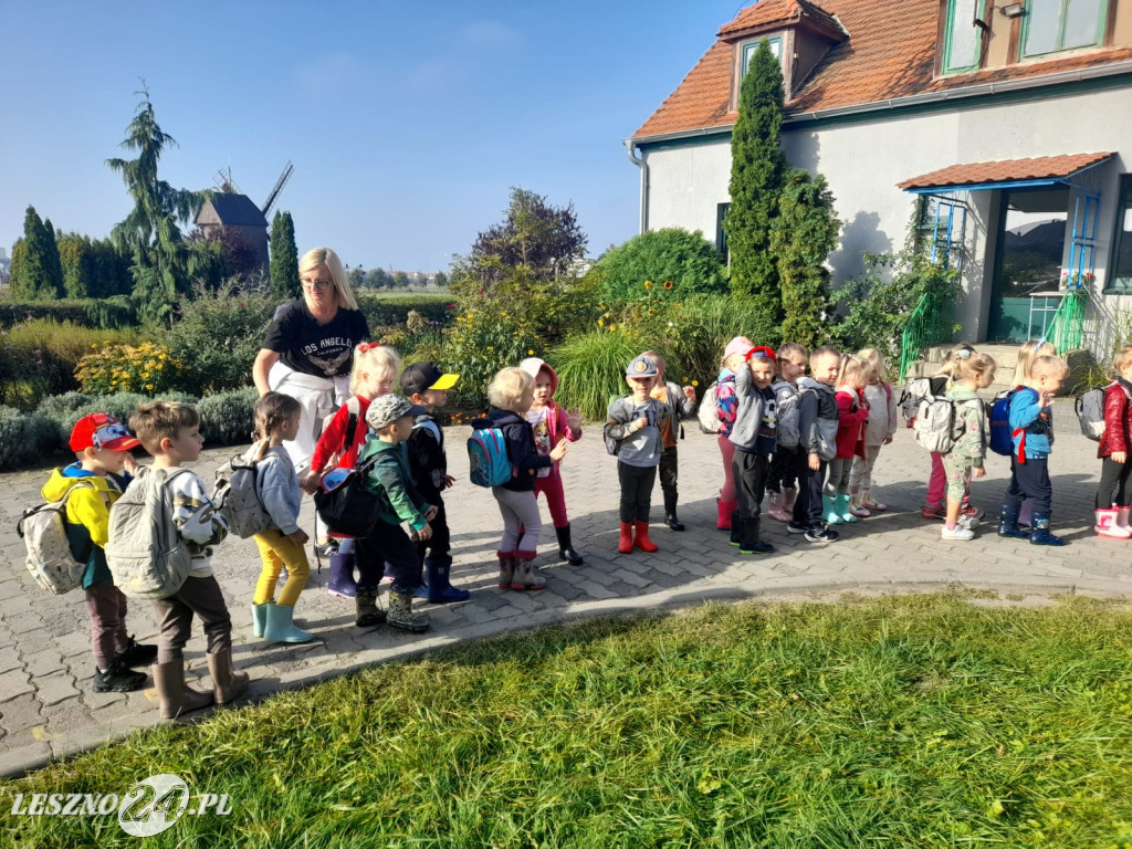 Przedszkolacy na wykopkach