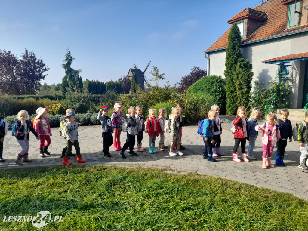 Przedszkolacy na wykopkach