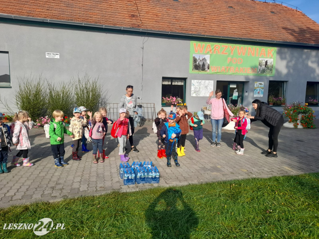 Przedszkolacy na wykopkach