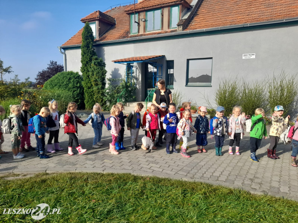 Przedszkolacy na wykopkach