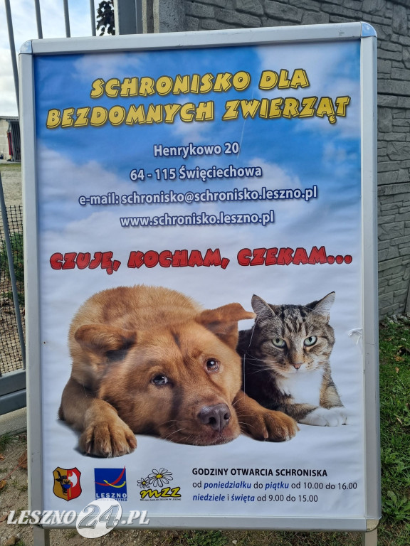 III Bieg + 4 łapy w Henrykowie