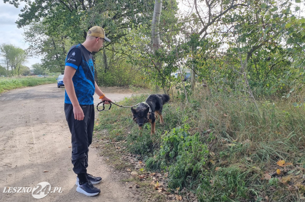 III Bieg + 4 łapy w Henrykowie