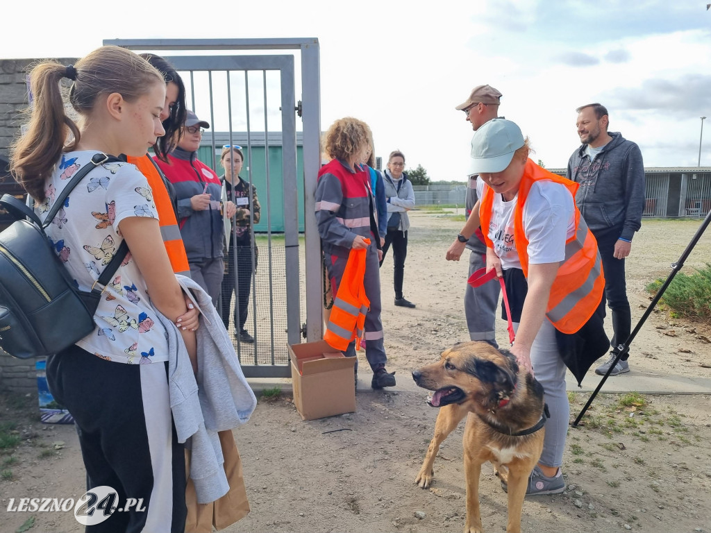 III Bieg + 4 łapy w Henrykowie
