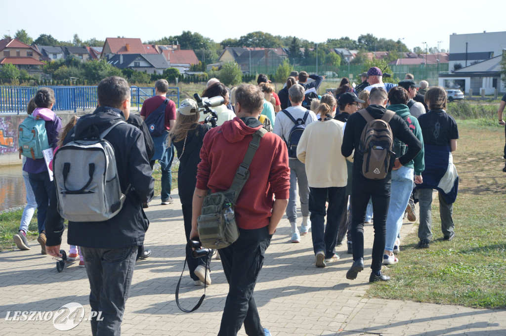 Europejski Dzień Ptaków, Rydzyna 2023