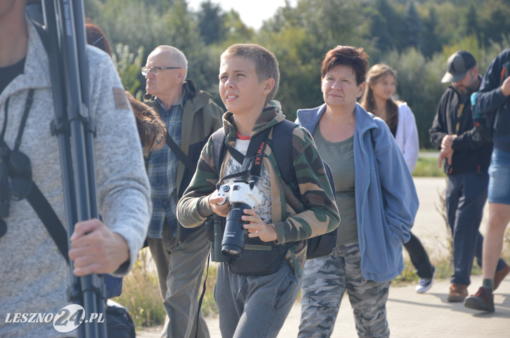 Europejski Dzień Ptaków, Rydzyna 2023