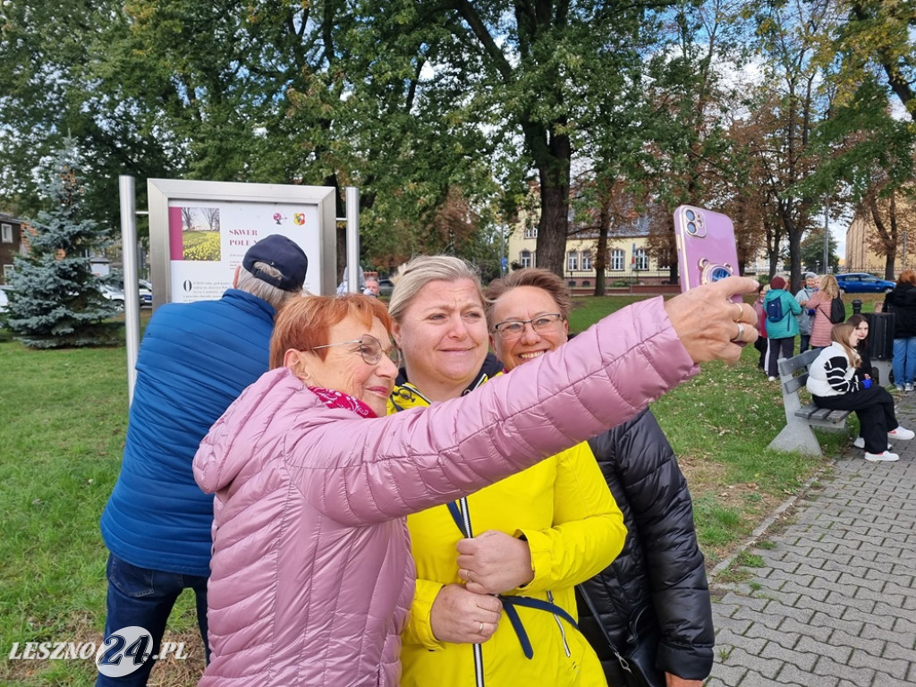 Zasadzono nie tylko żonkile