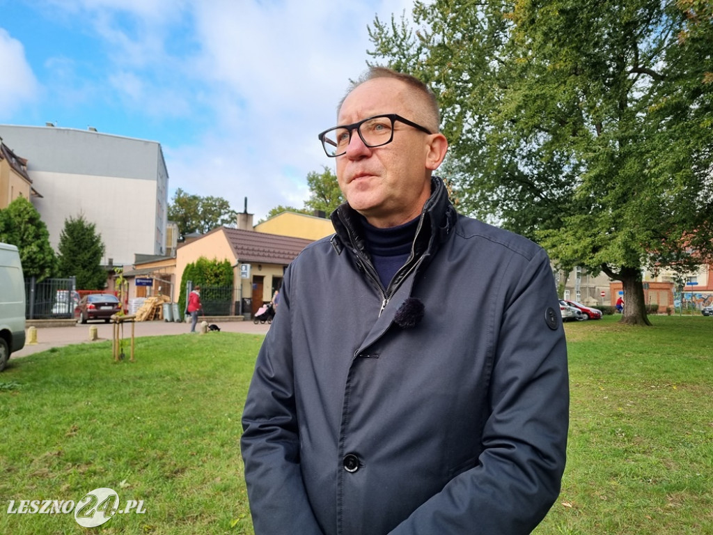 Zasadzono nie tylko żonkile