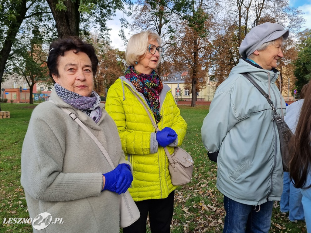 Zasadzono nie tylko żonkile