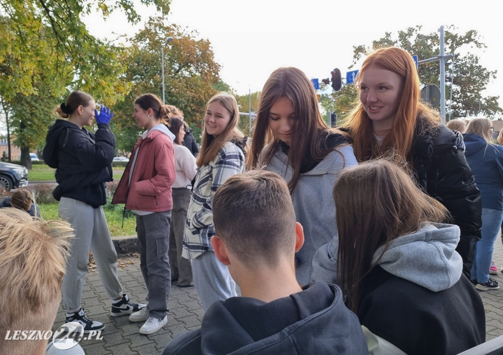 Zasadzono nie tylko żonkile