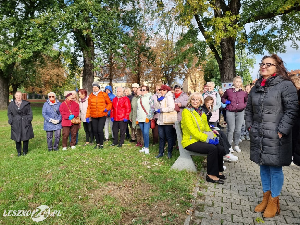 Zasadzono nie tylko żonkile
