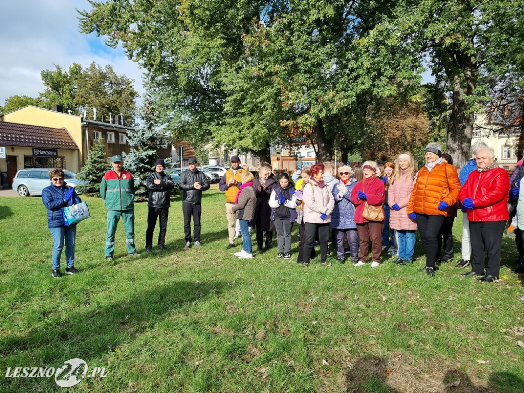 Zasadzono nie tylko żonkile
