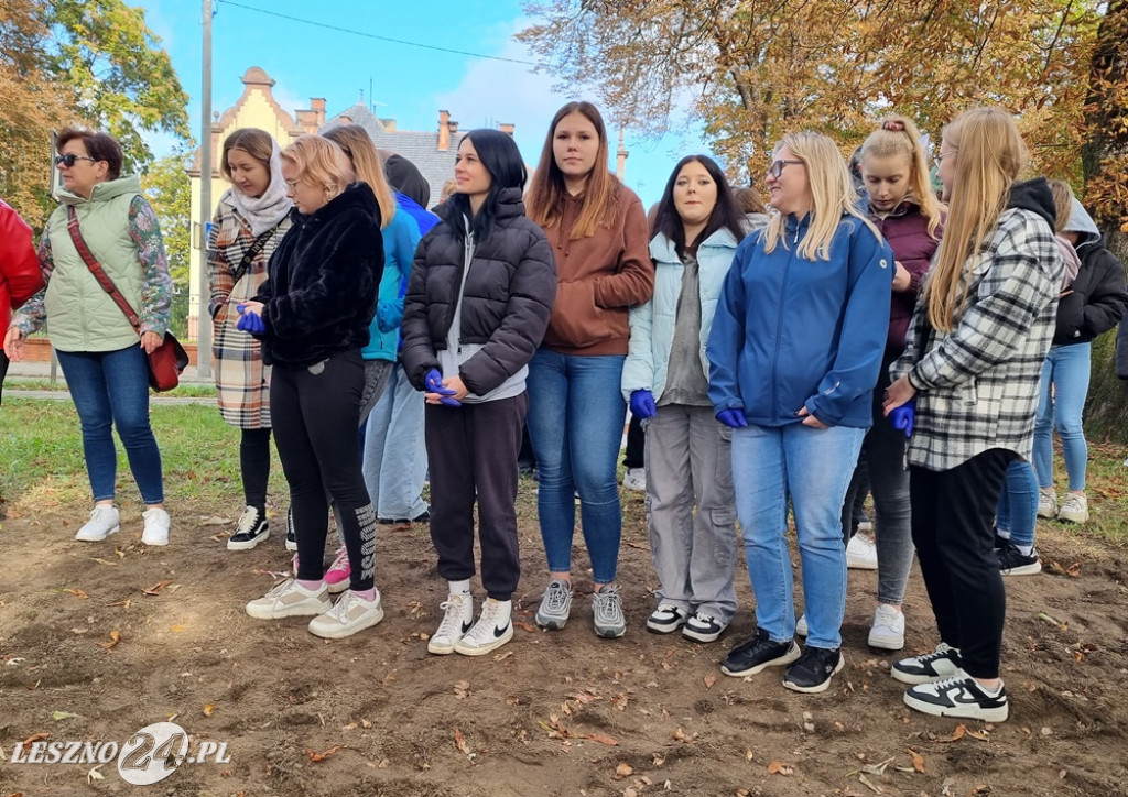 Zasadzono nie tylko żonkile