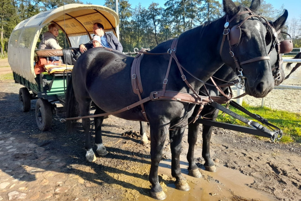 Hubertus 2023 w Boszkowie