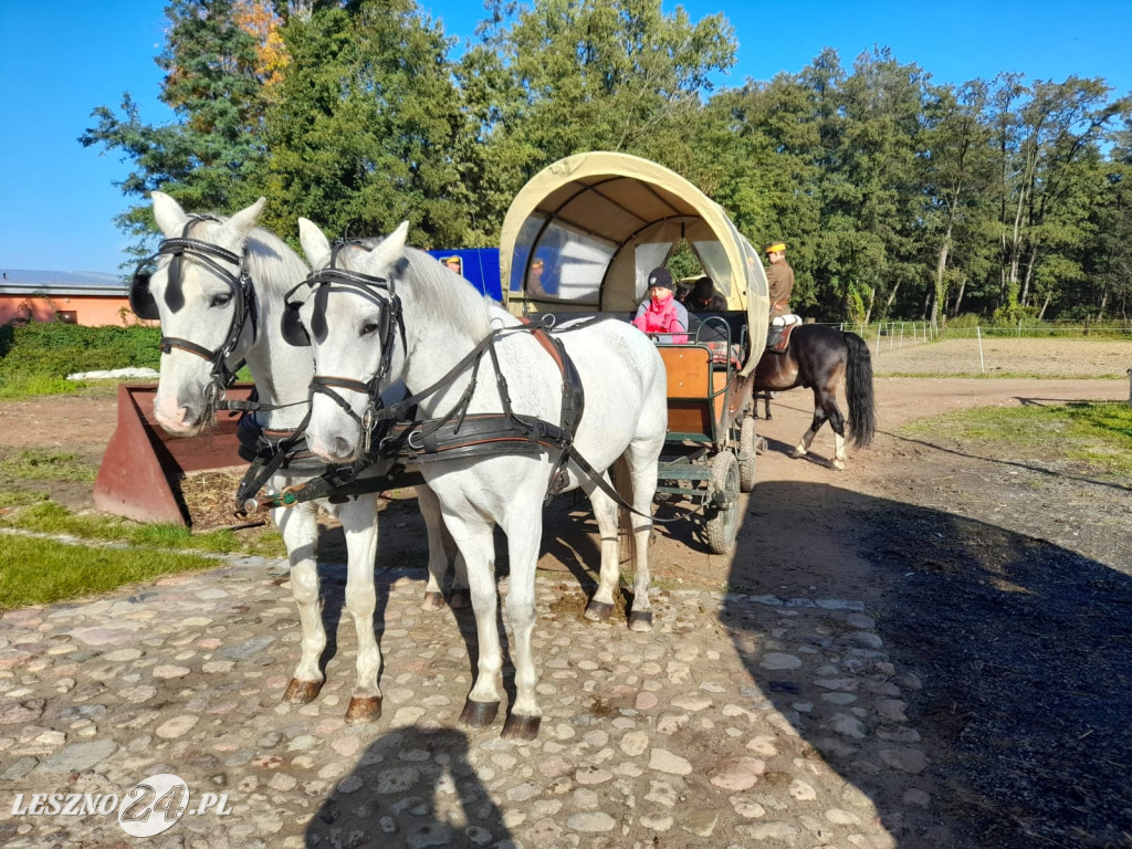 Hubertus 2023 w Boszkowie