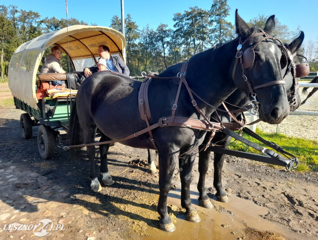 Hubertus 2023 w Boszkowie