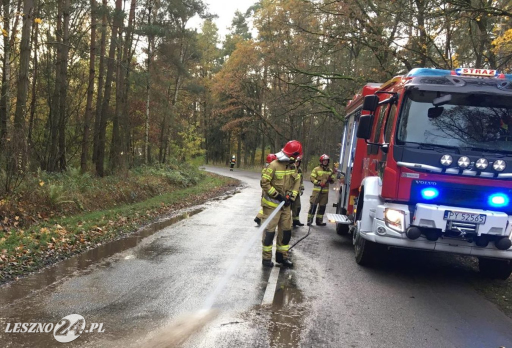 Poślizg na błocie i wywrotka samochodu