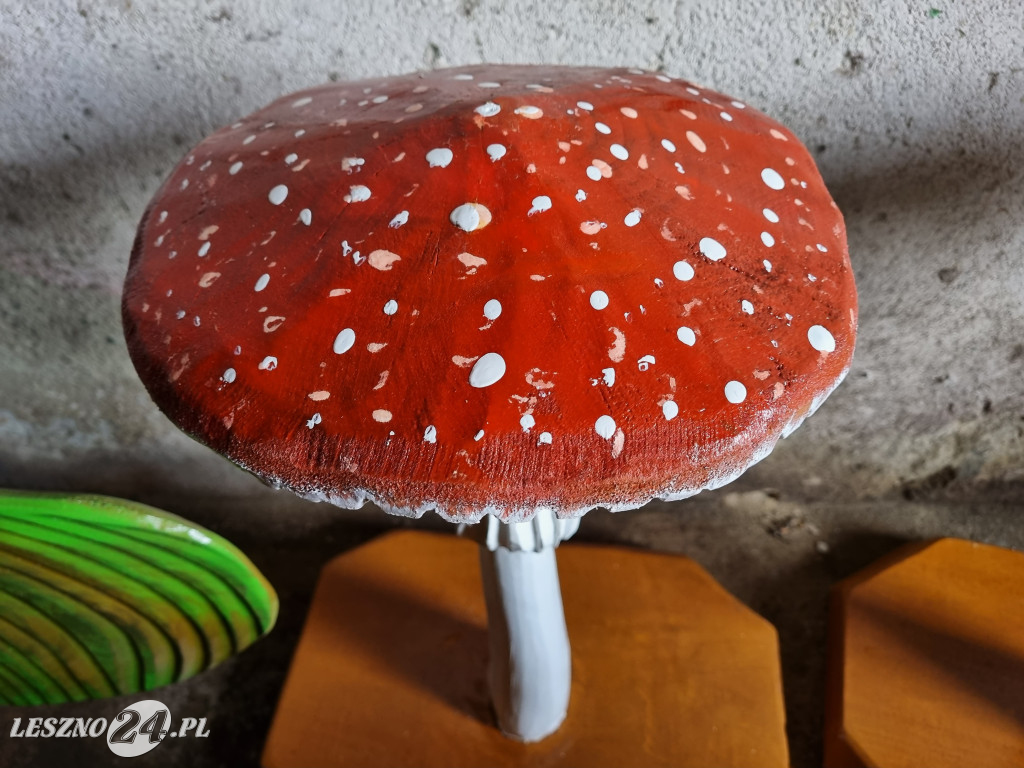 Nowa ścieżka edukacyjna