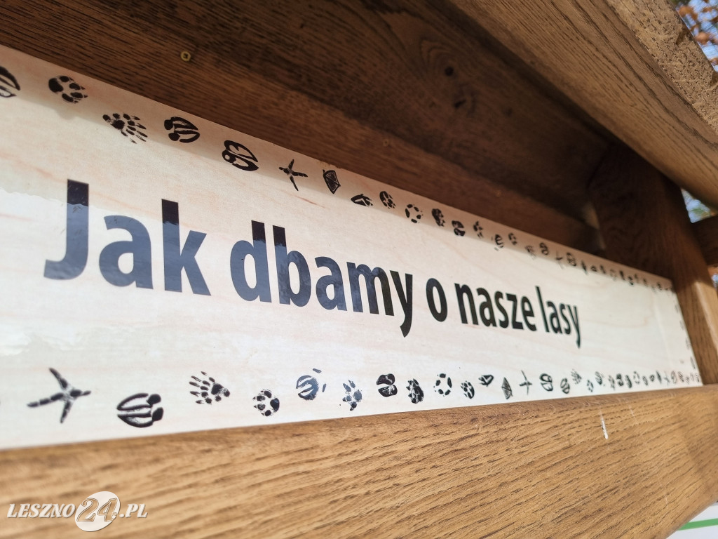 Nowa ścieżka edukacyjna