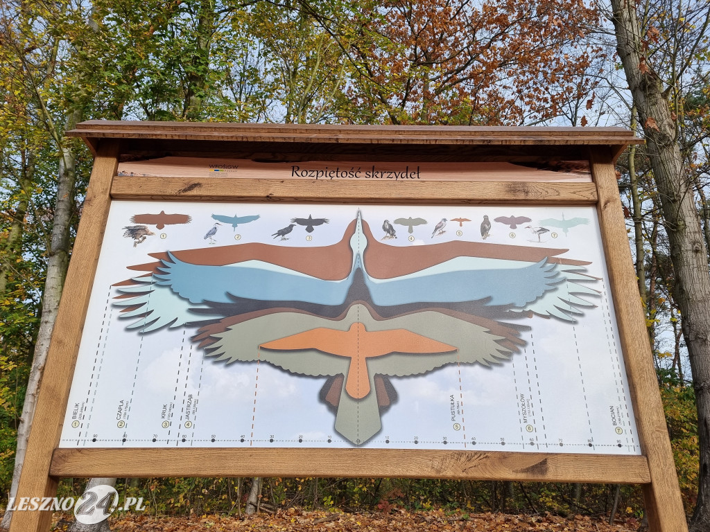 Nowa ścieżka edukacyjna