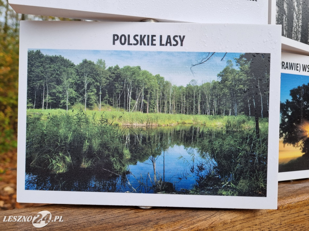 Nowa ścieżka edukacyjna