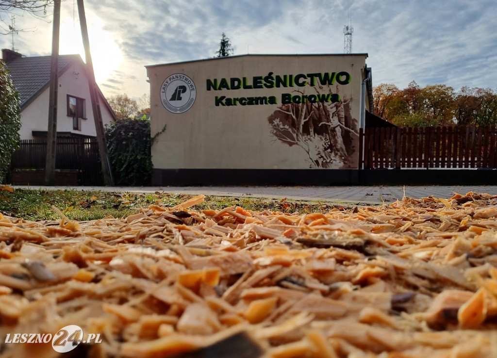 Nowa ścieżka edukacyjna