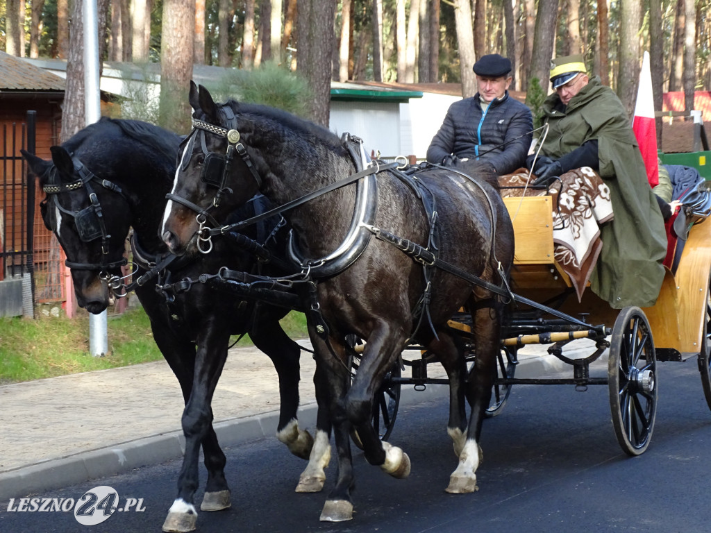 Przejazd Kawalerii w gminie Włoszakowice
