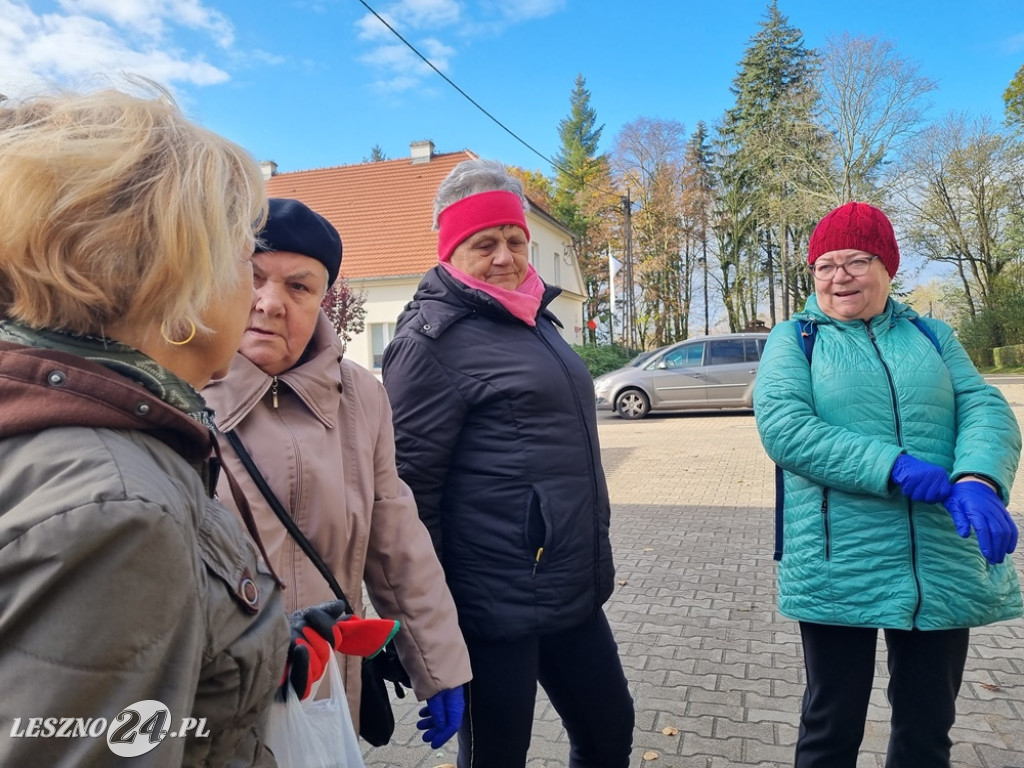 Amazonki posadziły krokusy