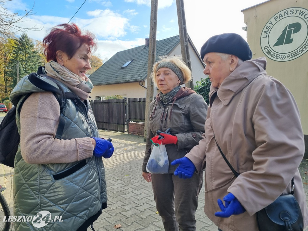 Amazonki posadziły krokusy