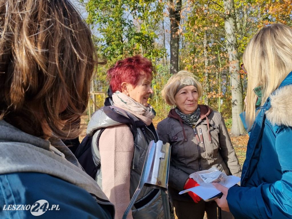 Amazonki posadziły krokusy