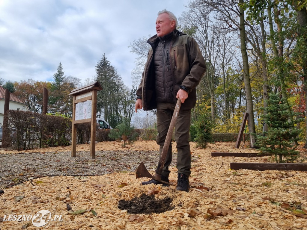 Amazonki posadziły krokusy