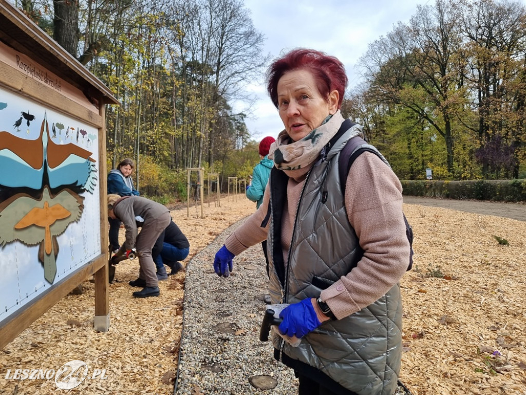 Amazonki posadziły krokusy