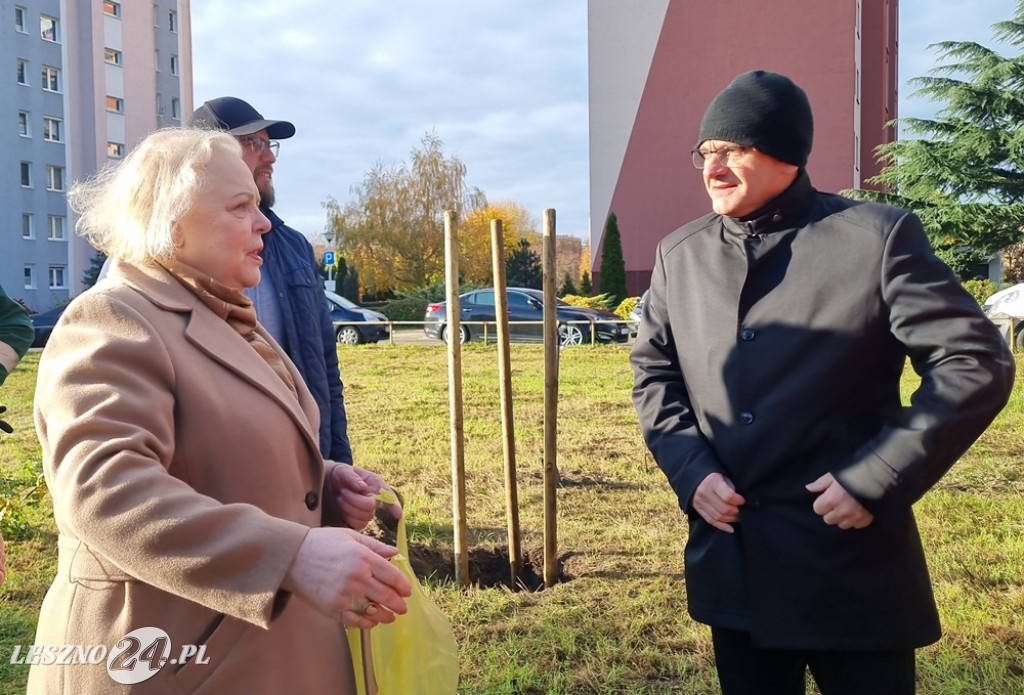 Organizacje pozarządowe posadziły dąb
