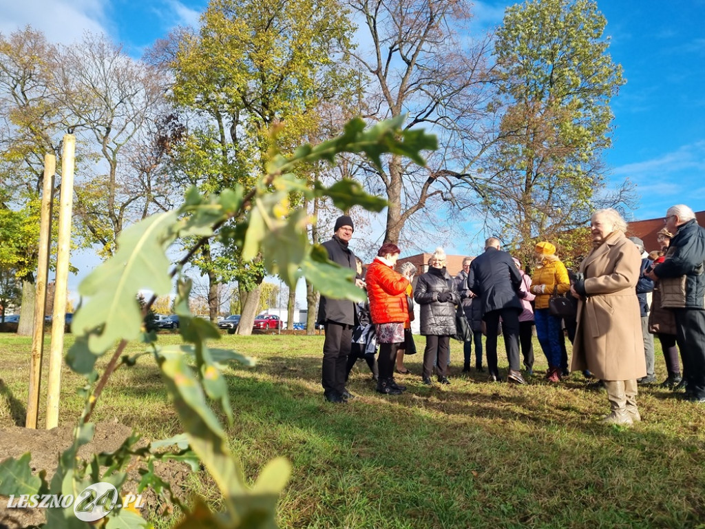 Organizacje pozarządowe posadziły dąb