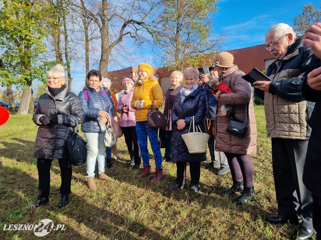 Organizacje pozarządowe posadziły dąb