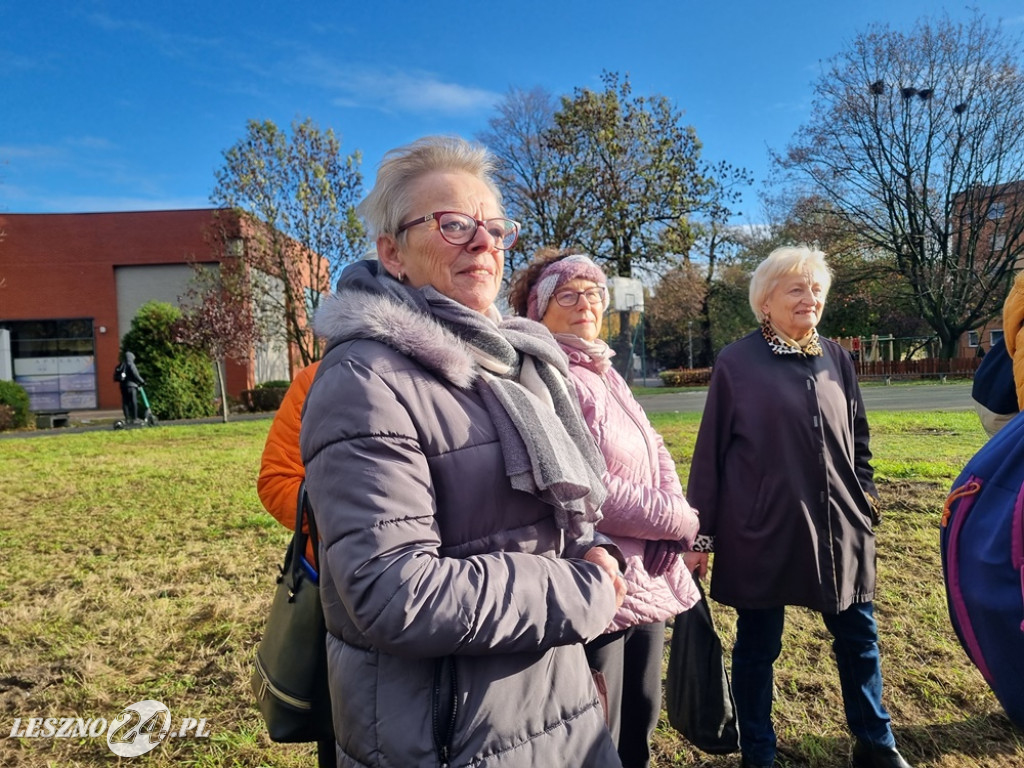 Organizacje pozarządowe posadziły dąb