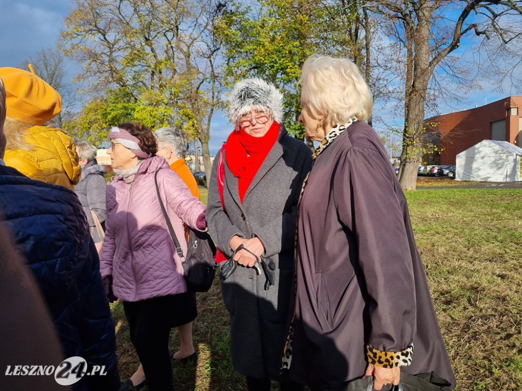 Organizacje pozarządowe posadziły dąb