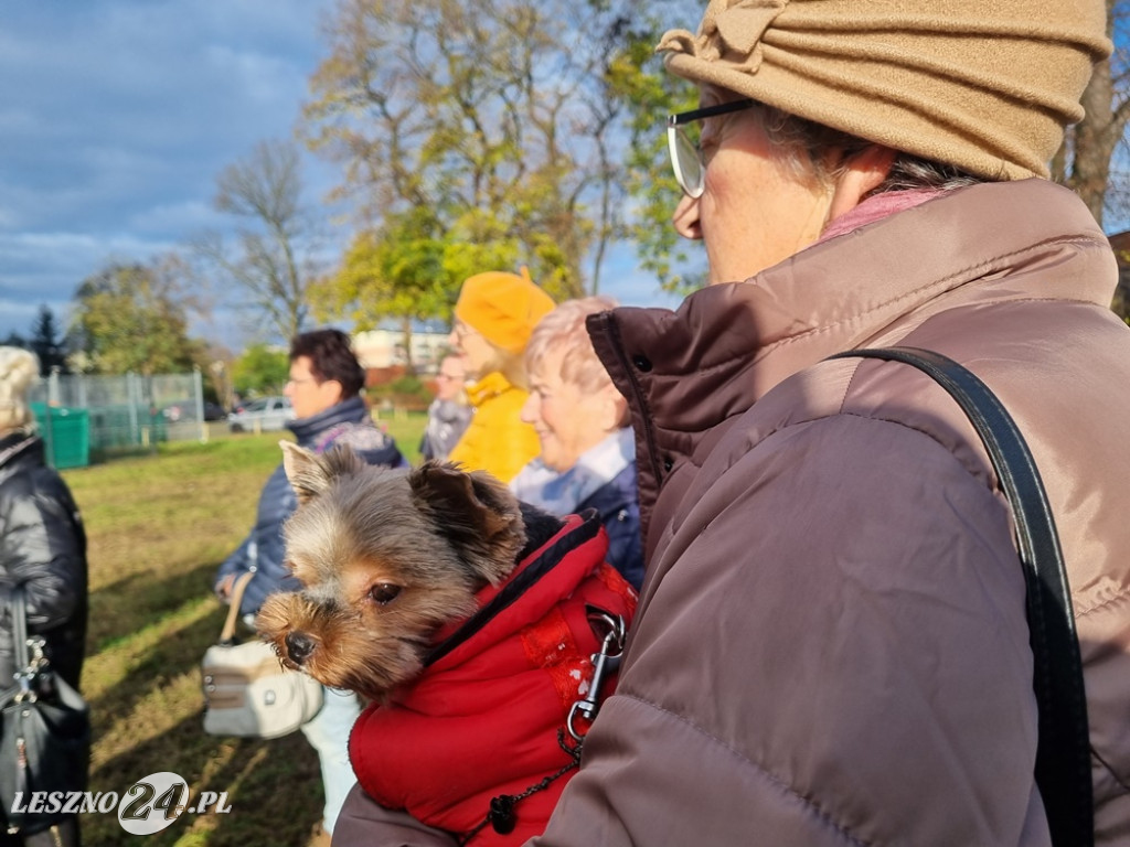 Organizacje pozarządowe posadziły dąb