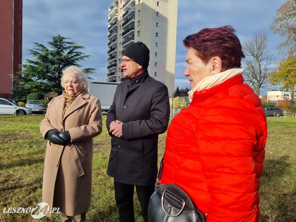 Organizacje pozarządowe posadziły dąb