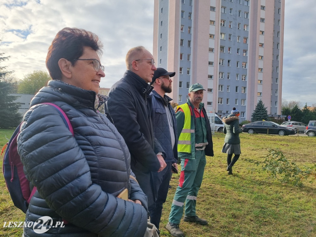 Organizacje pozarządowe posadziły dąb