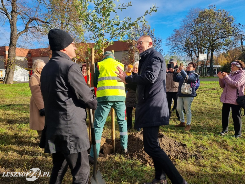 Organizacje pozarządowe posadziły dąb